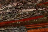 Stromatolite Slice - Pilbara, Australia ( Billion Years) #180010-1